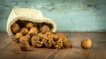 walnuts dried fruit brain food