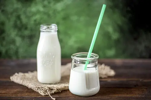 kefir brain food for vegetarians