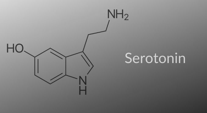 bacopa monnieri brahmi serotonin