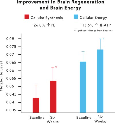 Best Nootropic Stack for Studying citicoline study