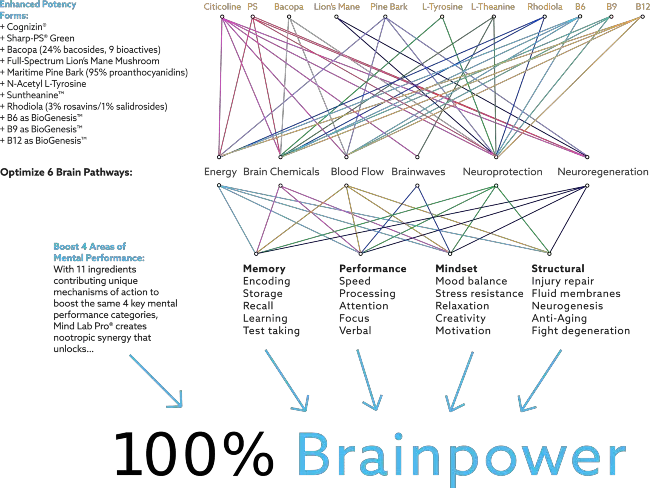 mind lab pro review how mind lab pro works