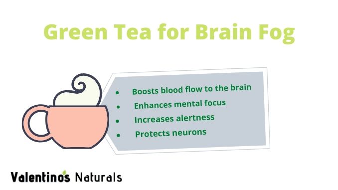 best tea for brain fog - green tea infographic