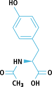 l tyrosine as a nootropic for bjj