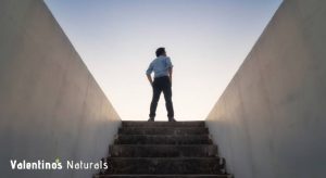 supplements for motivation and energy