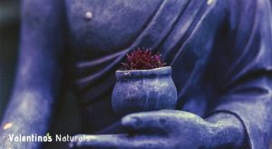 how to stick to a meditation routine - commit to meditation daily