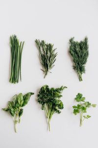 Nootropics: 5 Brain Boosting Herbs to Support Cognitive Health