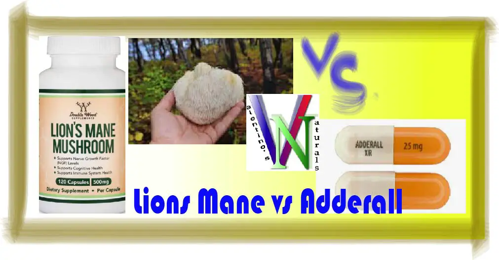 Lions Mane vs Adderall