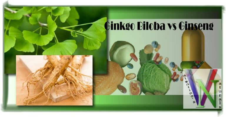 Ginkgo Biloba vs Ginseng