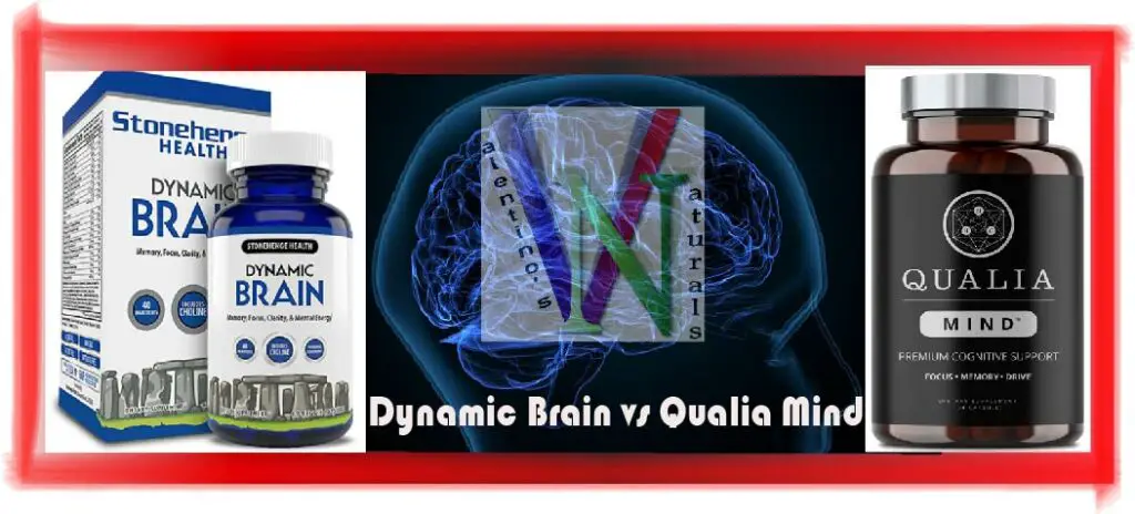 Dynamic Brain vs Qualia Mind