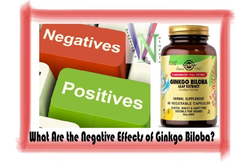 What Are the Negative Effects of Ginkgo Biloba?