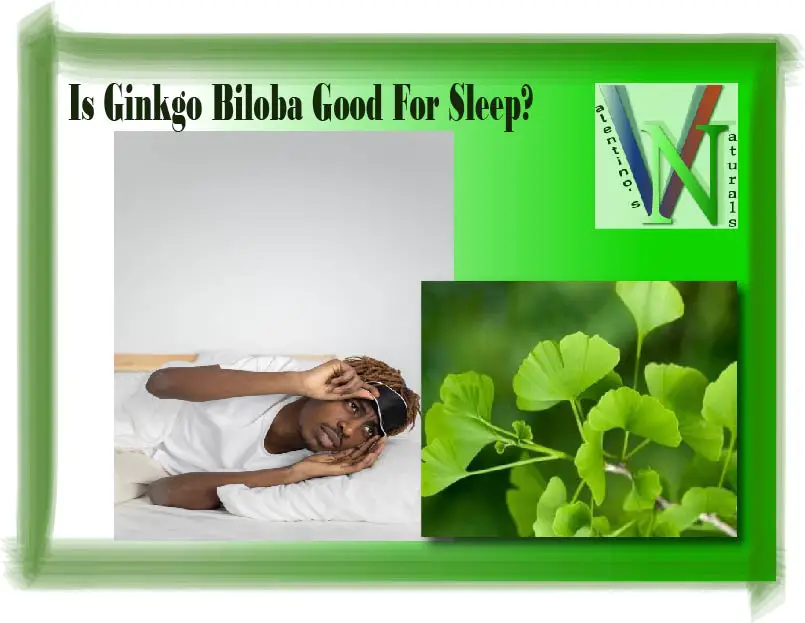 Is Ginkgo Biloba Good For Sleep?