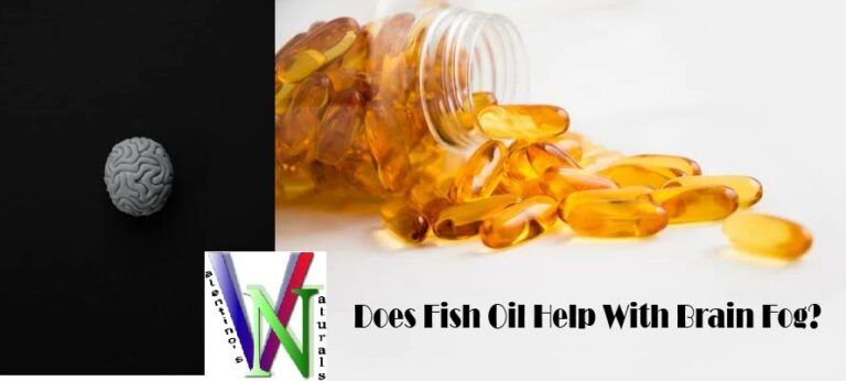 Does Fish Oil Help With Brain Fog?