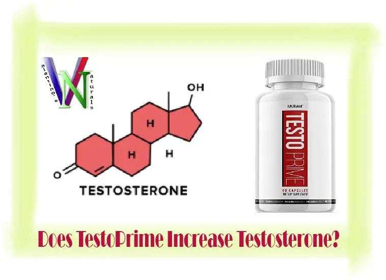 Does TestoPrime Increase Testosterone?