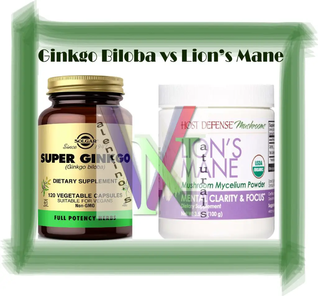 Ginkgo Biloba vs Lion's Mane. What to Know?