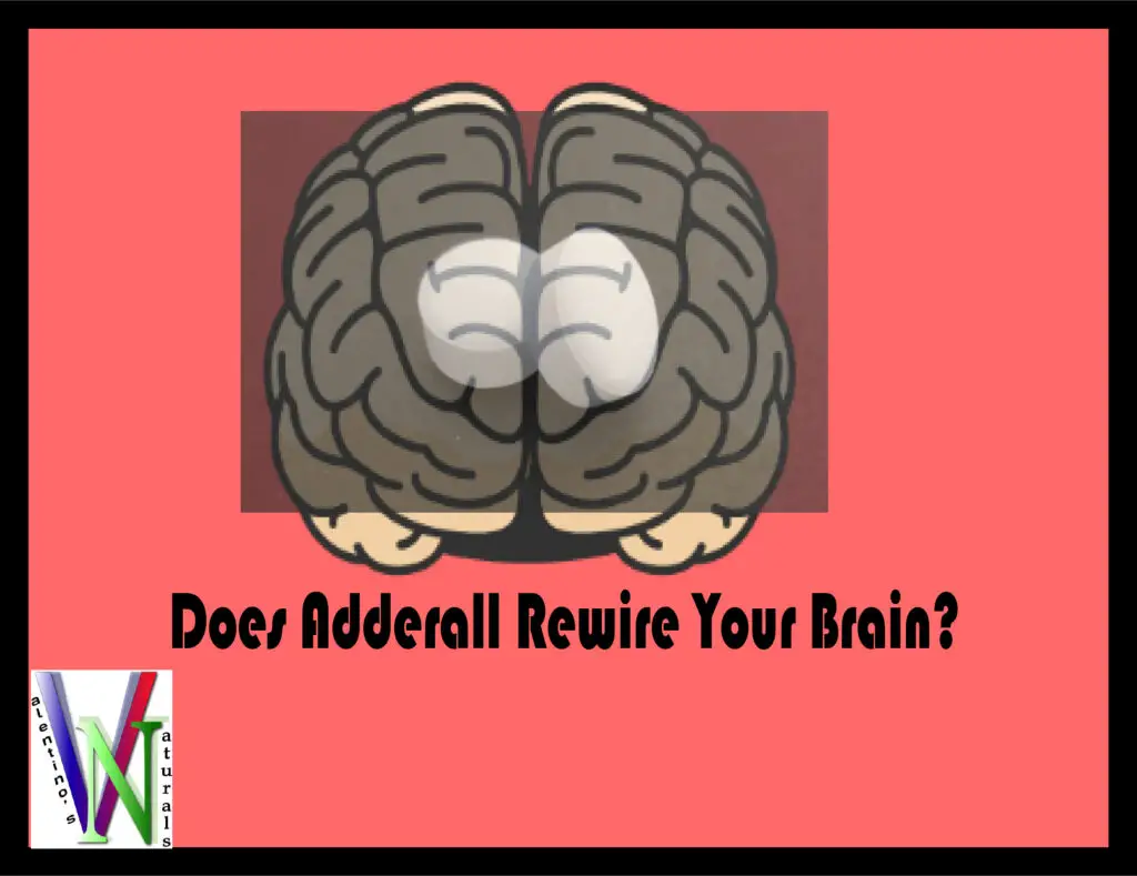 Does Adderall Rewire Your Brain?