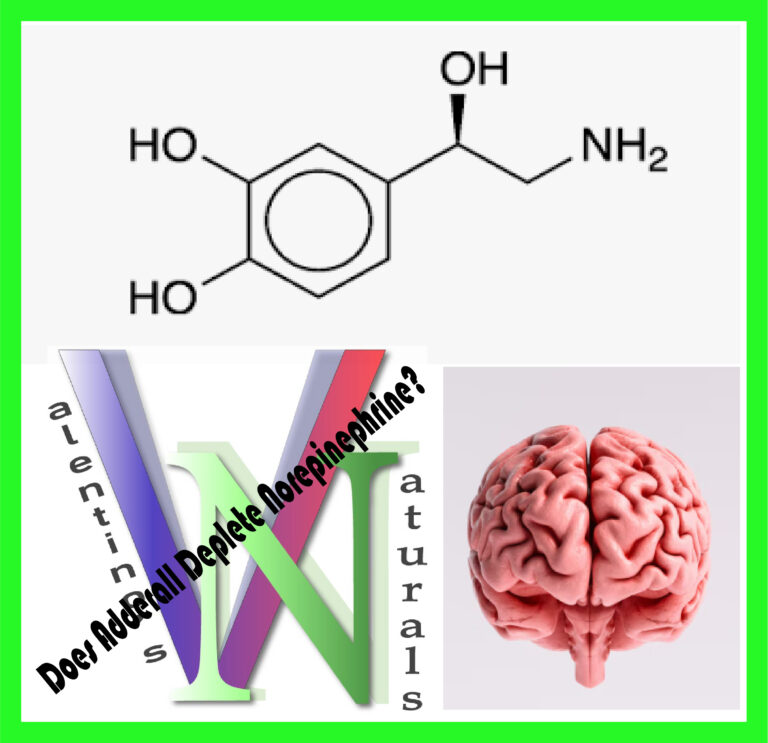 Does Adderall Deplete Norepinephrine?