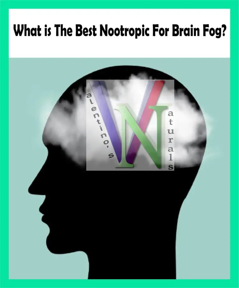 What Is The Best Nootropic For Brain Fog? Valentino's Naturals