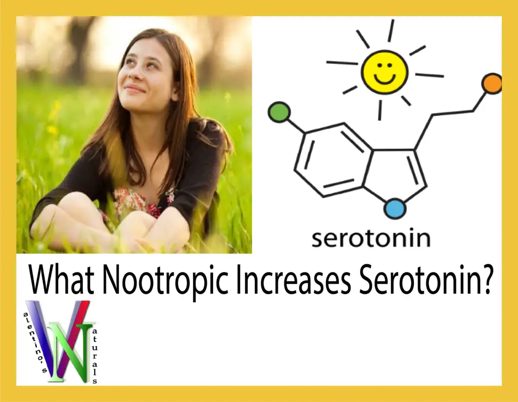 What Nootropic Increases Serotonin?