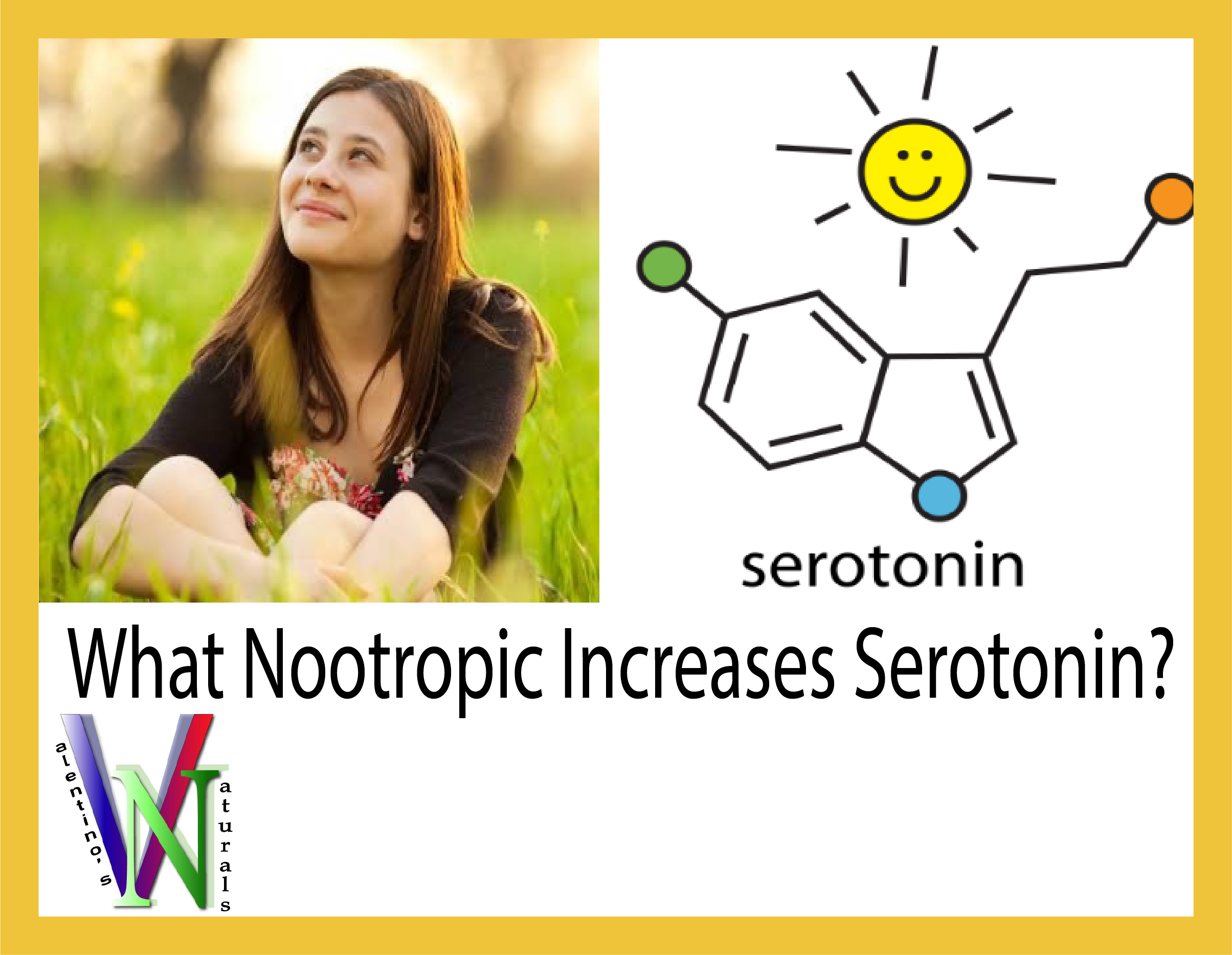 What Nootropic Increases Serotonin?